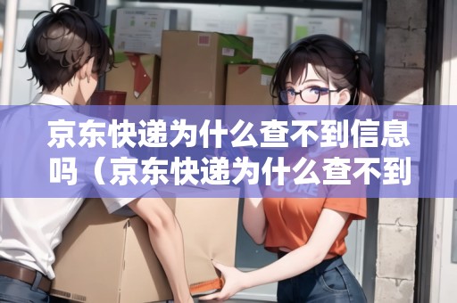 京東快遞查不到物流信息？服務器租賃或許是關鍵原因