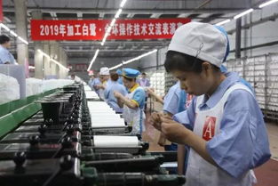 對手更是朋友 兩家化纖企業(yè)重啟同臺技術比武，以交流促發(fā)展